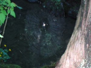img_0224_0127